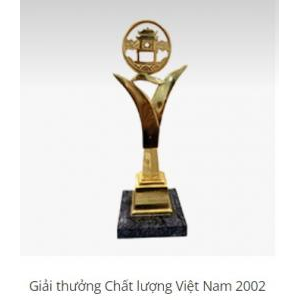 IV. Thành tựu đạt được